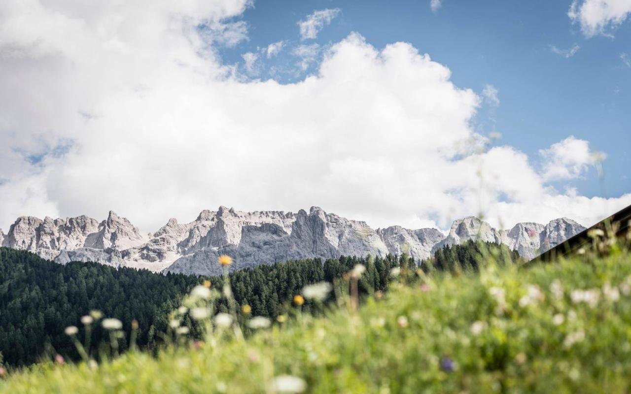 Cadepunt The Dolomites Lodge Selva di Val Gardena Exterior photo